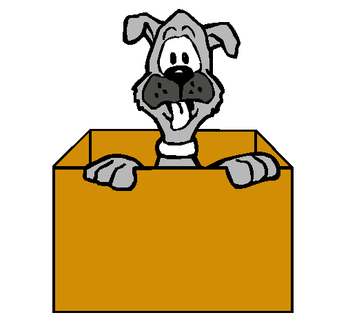 Perro dentro de caja