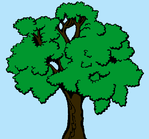 Árbol