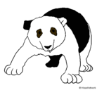 Dibujo Oso panda pintado por lauritadiva21
