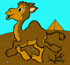 Dibujo Camello pintado por tierra colorada