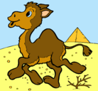 Dibujo Camello pintado por lisandro
