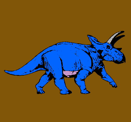 Triceratops