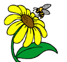 Dibujo Margarita con abeja pintado por girasolito
