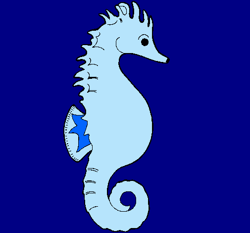 Caballito de mar