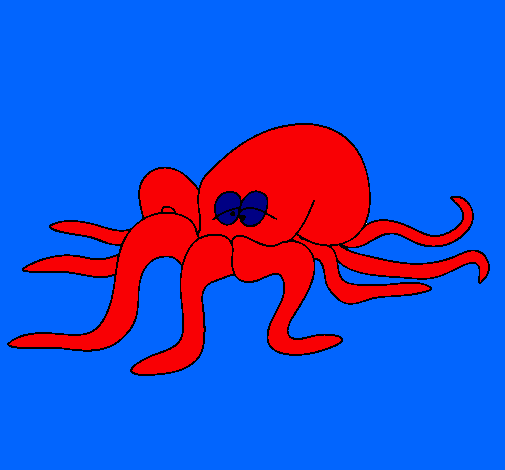 Pulpo