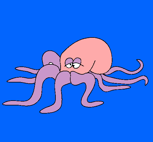 Pulpo