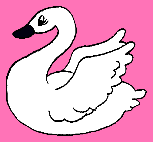 Cisne