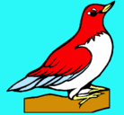 Dibujo Petirrojo pintado por ave