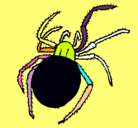 Dibujo Araña venenosa pintado por yandely