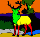 Dibujo Ciervo adulto pintado por monte