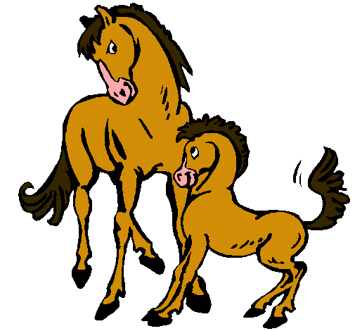 Caballos