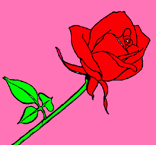 Dibujo Rosa pintado por aroa