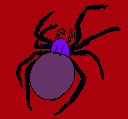 Araña venenosa