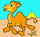Dibujo Camello pintado por camicami