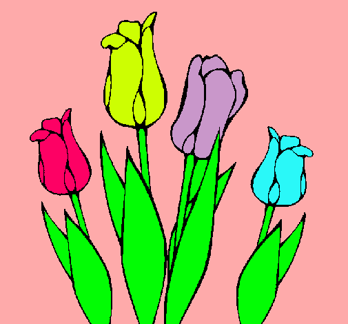 Tulipanes