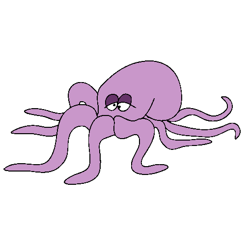 Pulpo