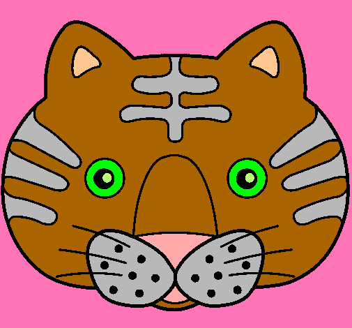 Gato II