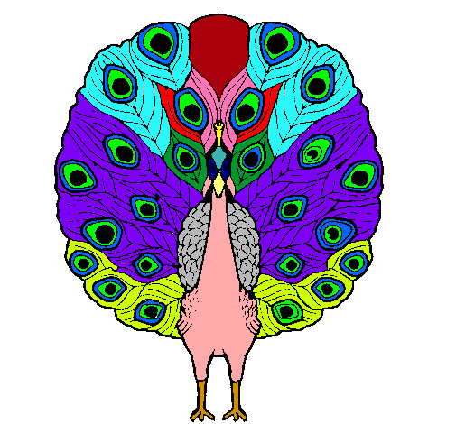 Pavo real