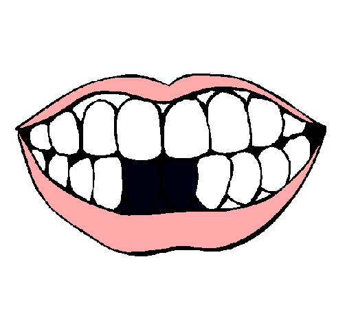 Boca y dientes