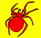 Dibujo Araña venenosa pintado por mauro
