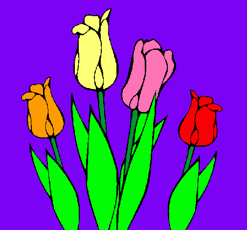 Tulipanes