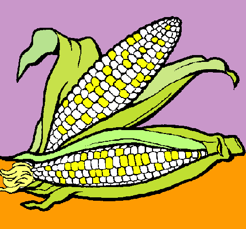 Dibujo de Mazorca de maíz pintado por Elote en  el día 27-10-10  a las 22:52:36. Imprime, pinta o colorea tus propios dibujos!
