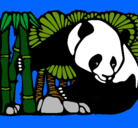 Dibujo Oso panda y bambú pintado por Pokemon_99