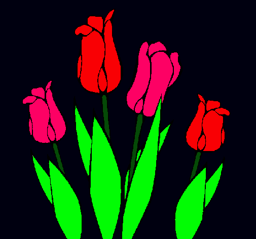 Tulipanes