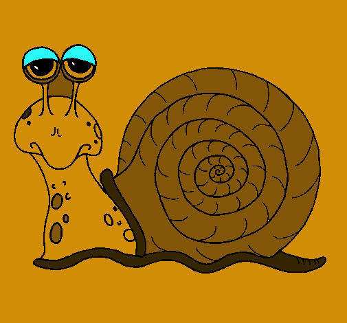 Caracol