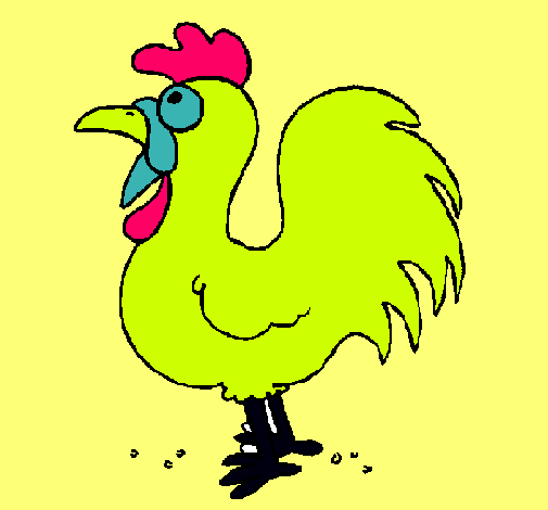 Gallo de granja