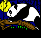 Dibujo Oso panda comiendo pintado por Pokemon_99