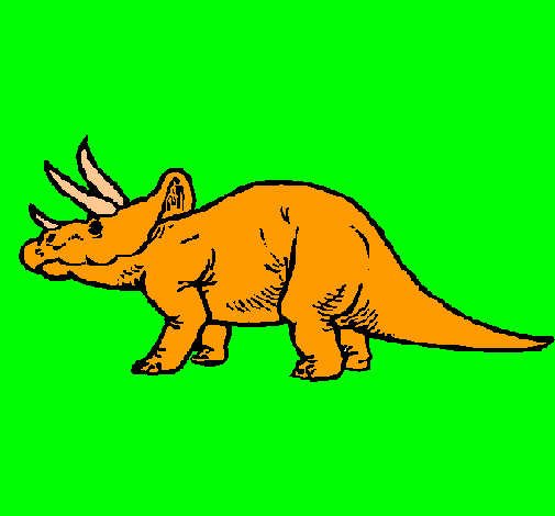 Triceratops