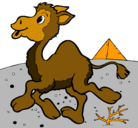 Dibujo Camello pintado por yandryloreths