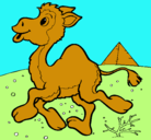 Dibujo Camello pintado por nerea
