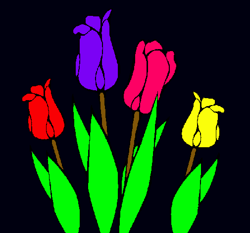 Tulipanes