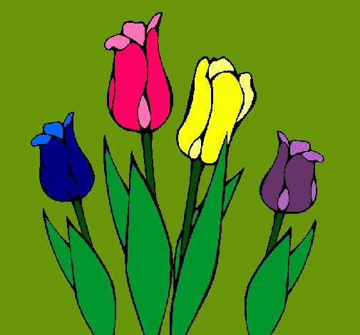 Tulipanes