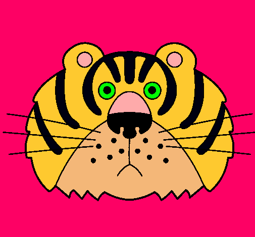 Tigre III