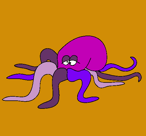 Pulpo