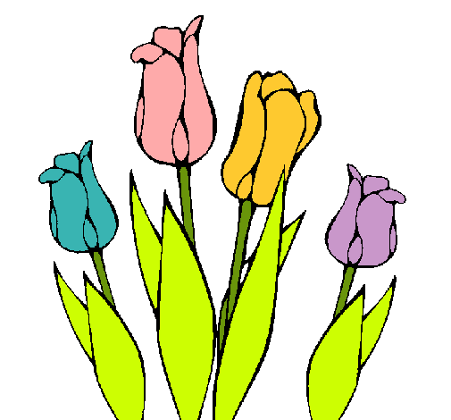 Tulipanes