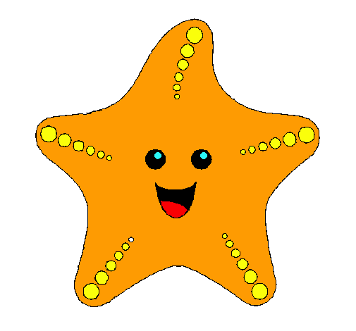 Estrella de mar