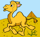 Dibujo Camello pintado por dayuri