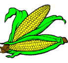 Dibujo Mazorca de maíz pintado por lola
