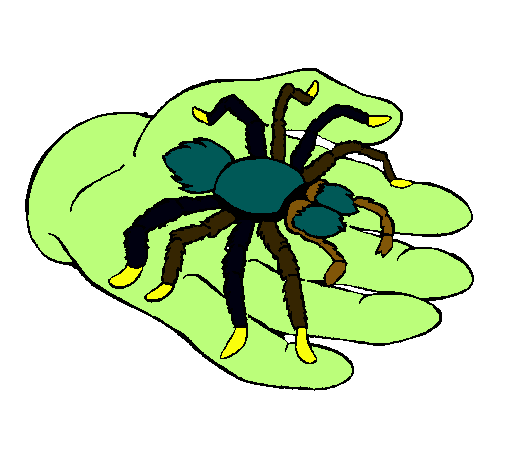 Tarántula