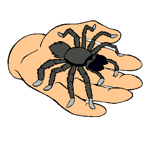 Tarántula