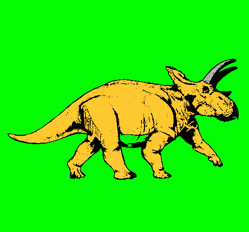 Triceratops