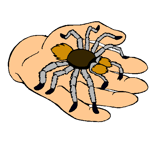 Tarántula