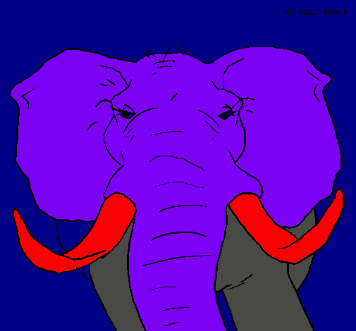 Elefante africano