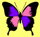 Dibujo Mariposa con alas negras pintado por Esperanza