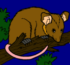Dibujo Ardilla possum pintado por martina