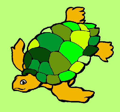 Dibujo Tortuga pintado por amonio